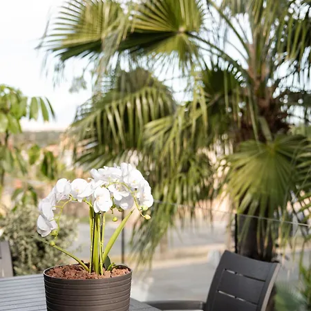 Villa Exclusive City, Beach&golf Alicante